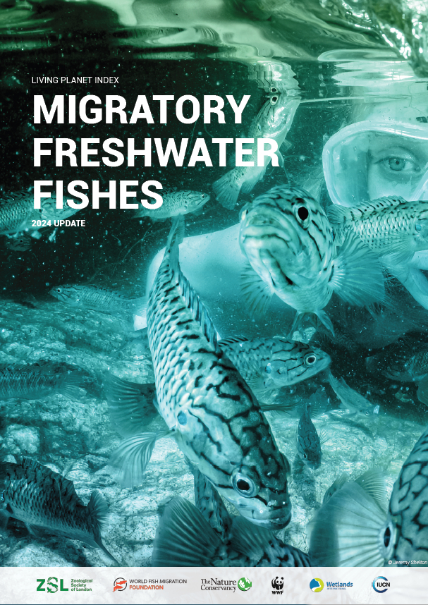 Migratory_freshwater_fish_2024