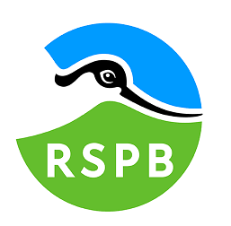 RSBP