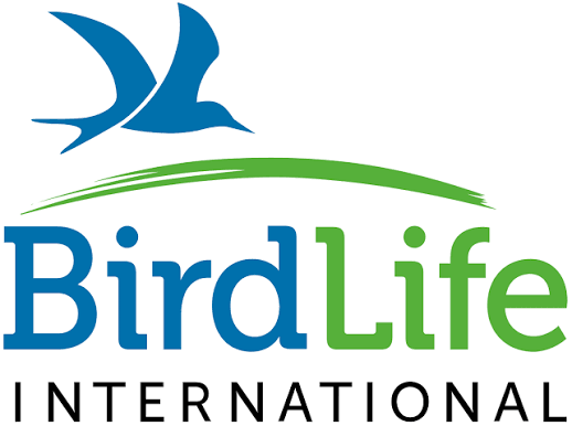 Bird life