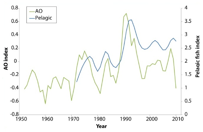 Figure 6. Pelagic fish abundance is associated with a large-scale climate oscillation 1970-2010