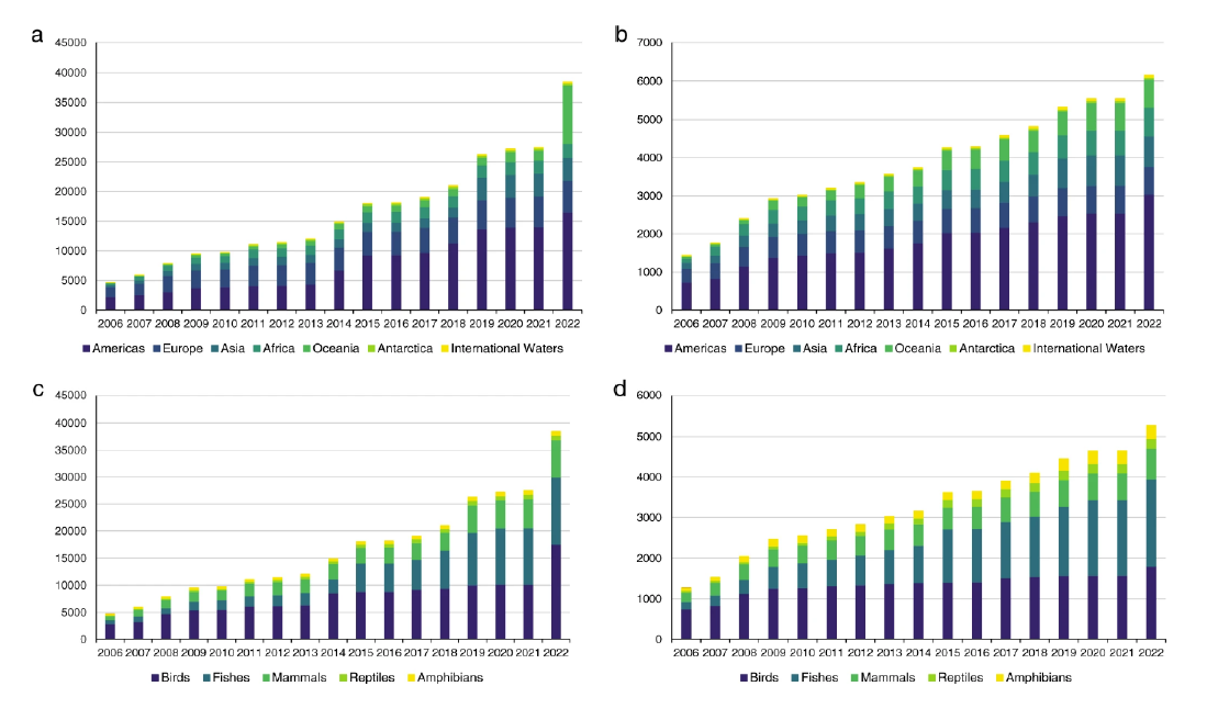 Database growth over time